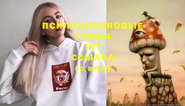а пвп мука Алзамай