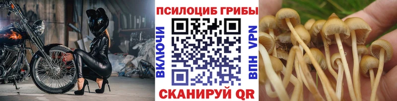 Галлюциногенные грибы мицелий  Темрюк 