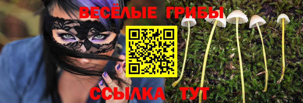 Галлюциногенные грибы ЛСД  Вход с VPN  что такое   Темрюк 